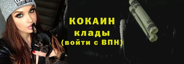 дмт Арсеньев