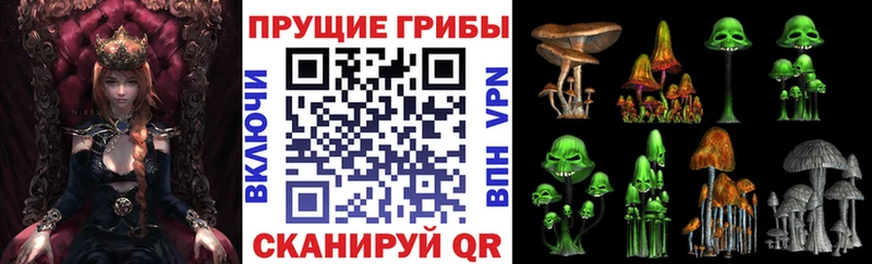 Галлюциногенные грибы MAGIC MUSHROOMS  наркота  Пролетарск 