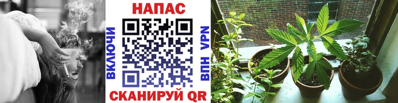 Бошки марихуана Bruce Banner  наркошоп  Пролетарск 